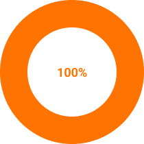 шкала прогресса 11