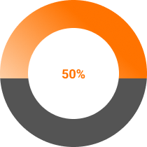 шкала прогресса 5
